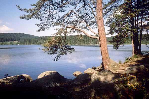 57+ Edlesberger Teich, Kleine grasflächen laden zum sonnen ein,